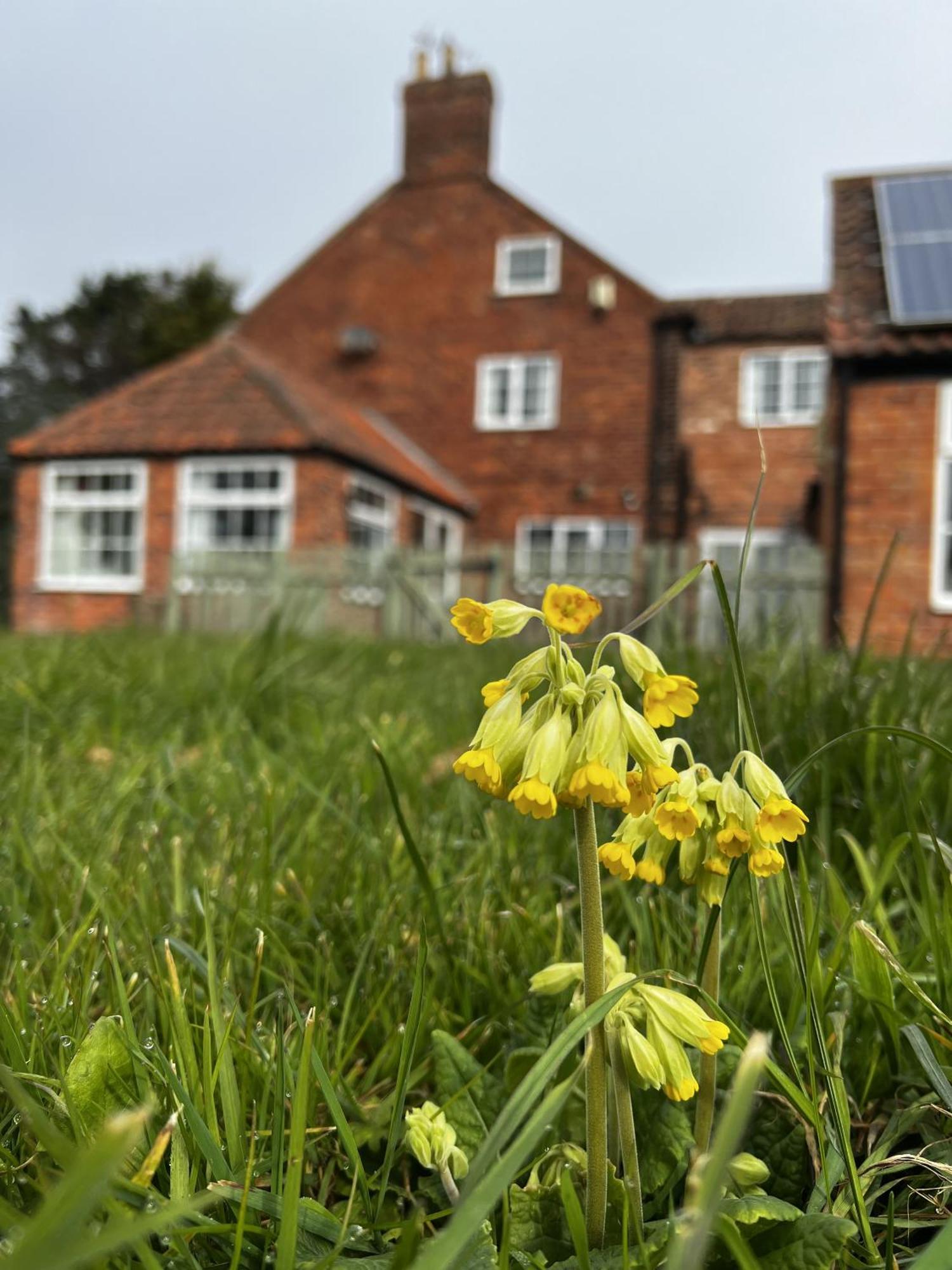Wellbet Farm Hotel Swinderby Exterior foto